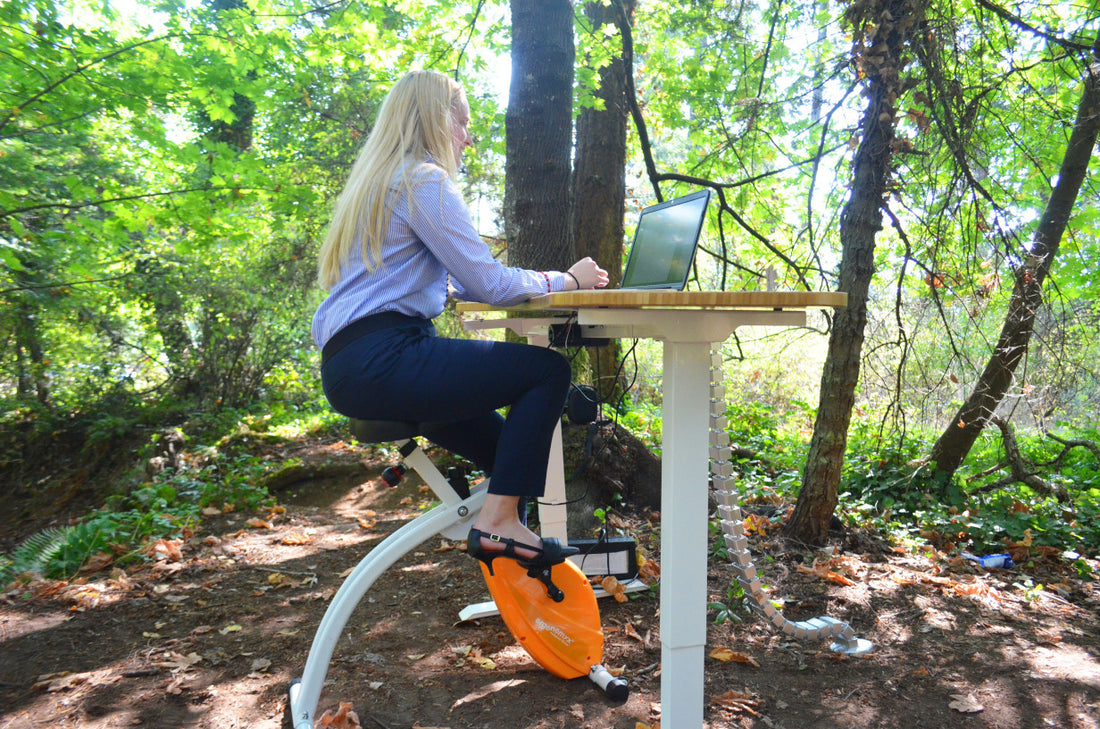 3 Ways to Make Your Lifestyle More Sustainable